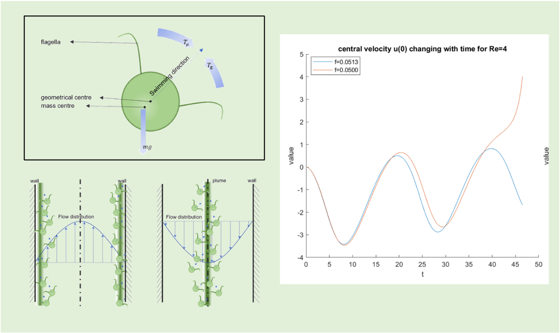 image-20231016234613942